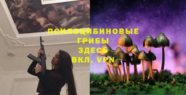 винт Алексеевка